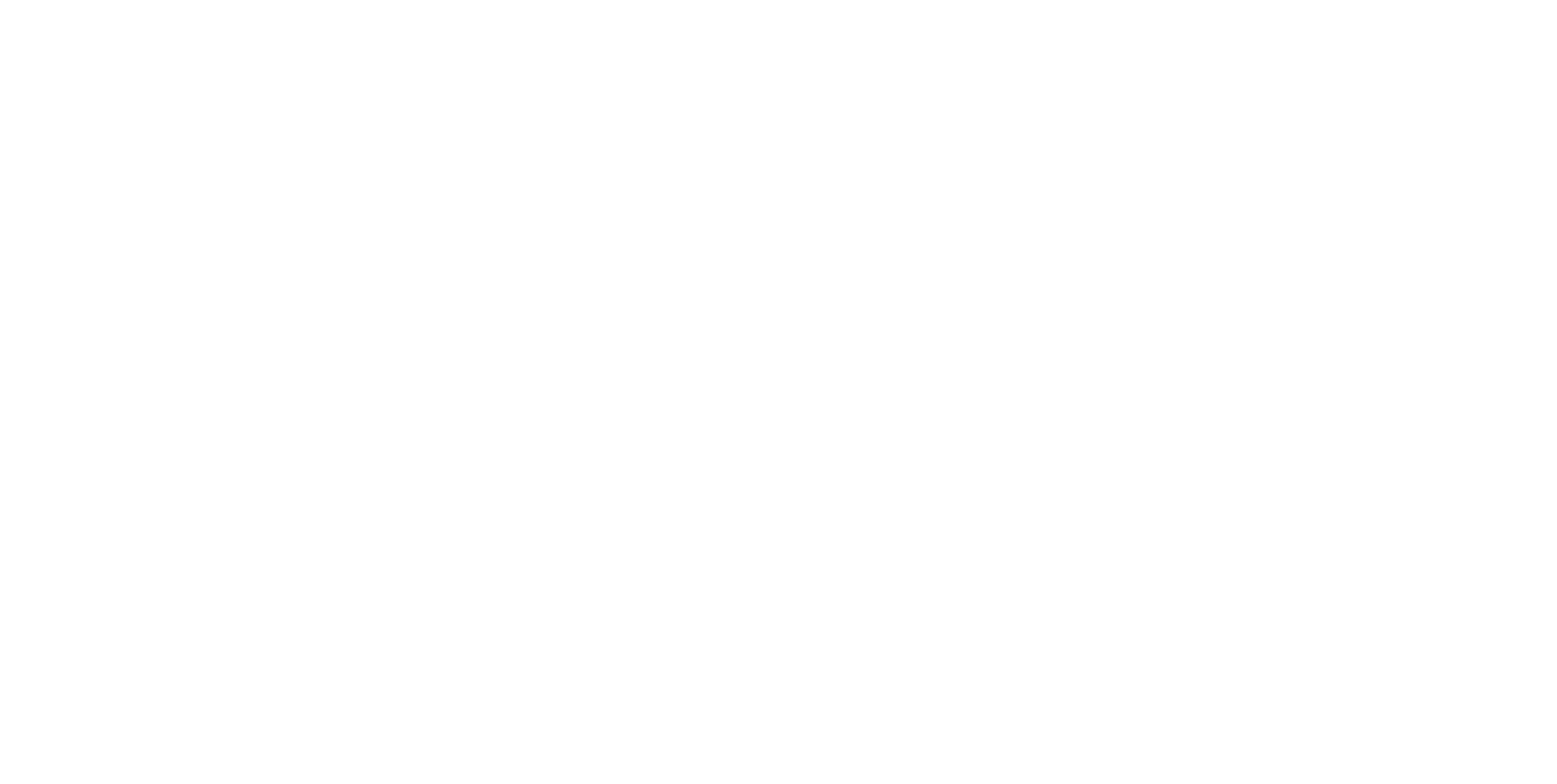 DinkaTote